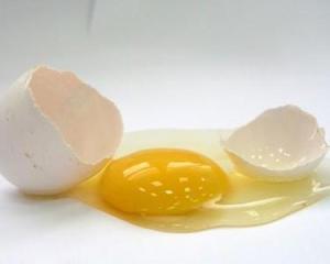 鸡子白