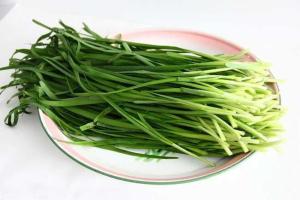 韭菜相册