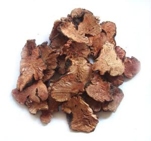 金荞麦成品药材