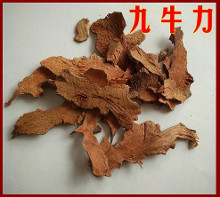 九牛力