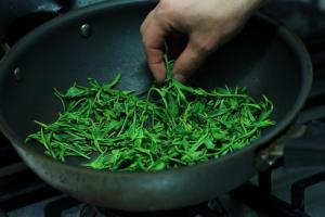 苦茶叶图册