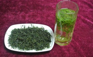 苦丁茶