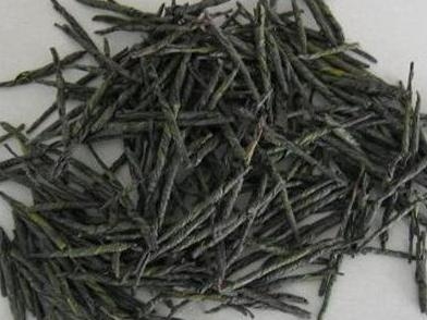 苦丁茶