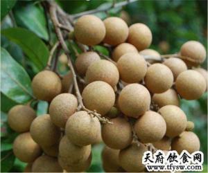 龙眼壳图册