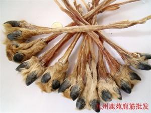 干鹿筋展示图