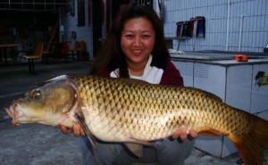钓大鲤鱼