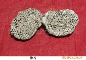 相关图片