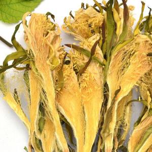 干燥的量天尺花朵（霸王花）