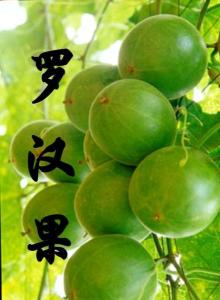 天然罗汉果
