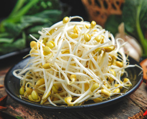 绿豆芽