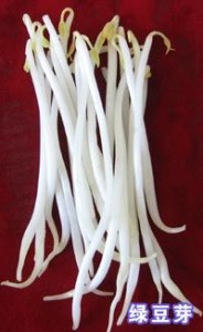 豆芽菜