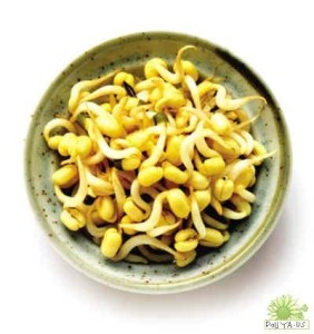 豆芽菜