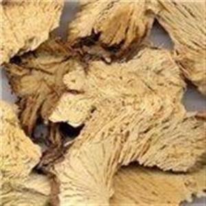 麻黄根