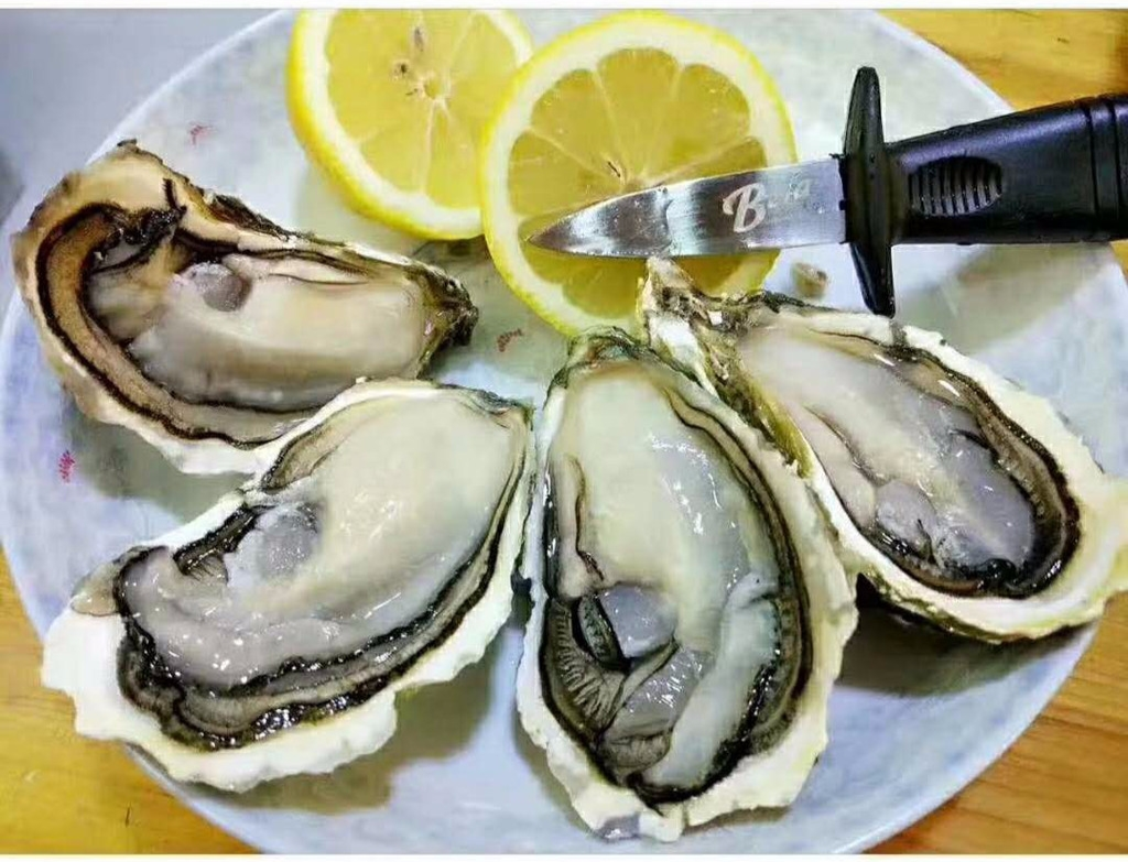 生蚝