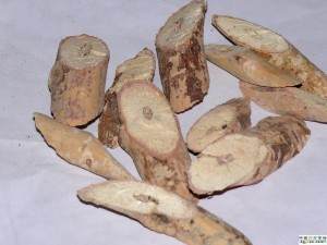 牛大力药材图片
