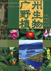 凤尾金星