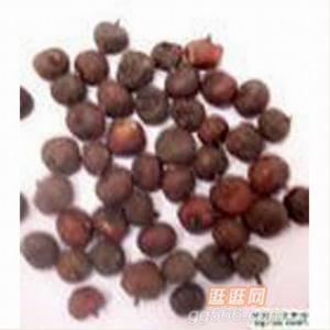 南烛子
