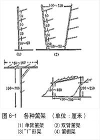 篱架