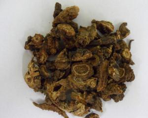 羌活