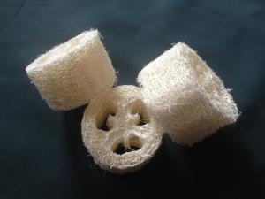 丝瓜络