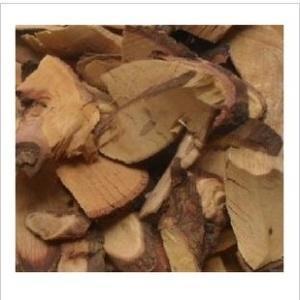 酸枣根