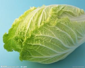 菘菜图册