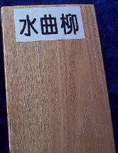 水曲柳