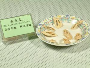 桑白皮