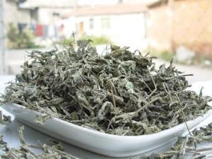 藤茶