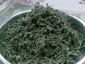 藤茶
