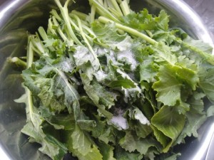 苔菜