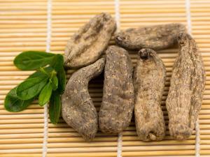 野生天麻