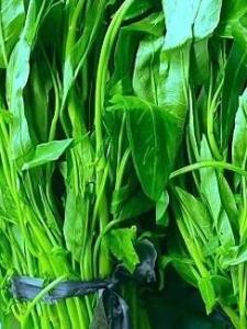 蕹菜