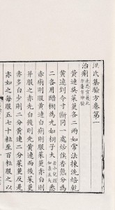 洪氏集验方