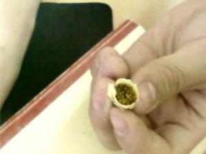 苞叶横切面