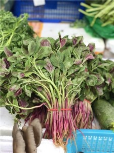 苋菜