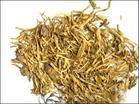 腺花香茶菜