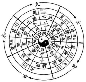 阴阳五行