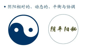 阴平阳秘