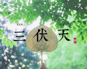 三伏天