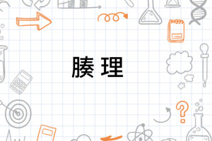 腠理