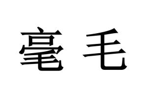 毫毛