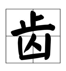 齿