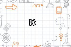 脉