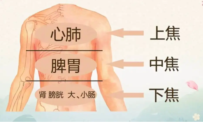 三焦