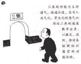 三焦