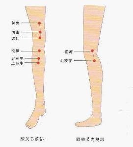 穴位示意图