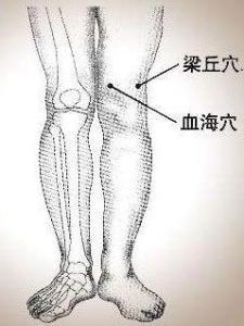 血海穴