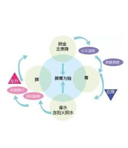 肺主肃降