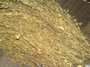 小金牛草图册